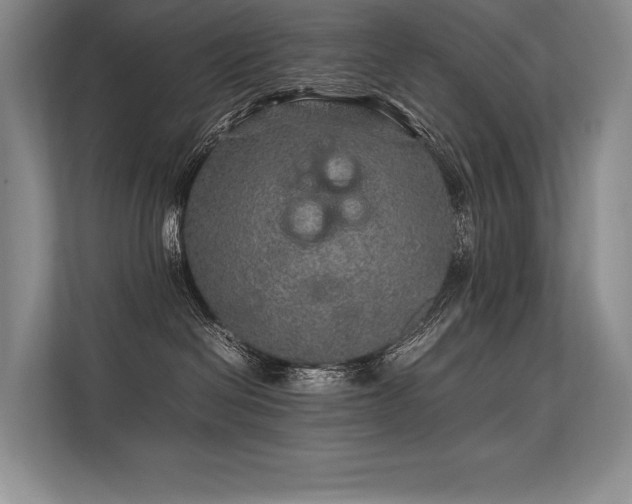 X0000113310286200909211148