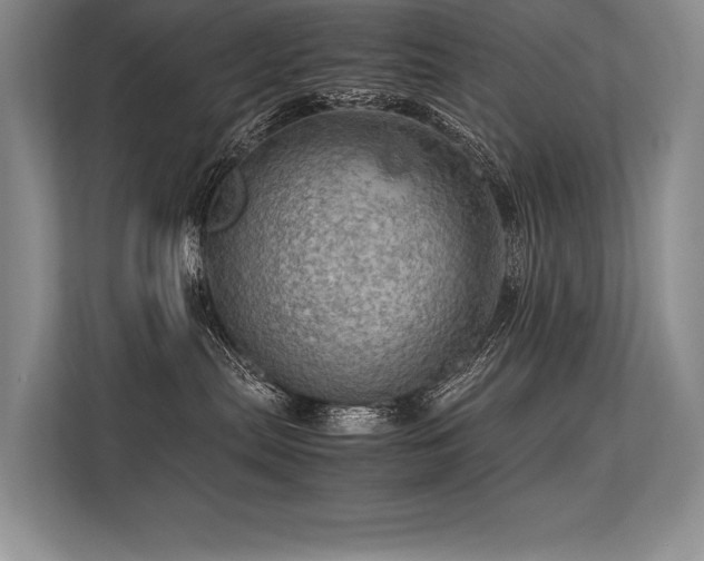 X0000113310287200909211148