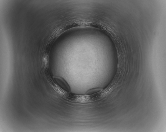 X0000113310288200909211148