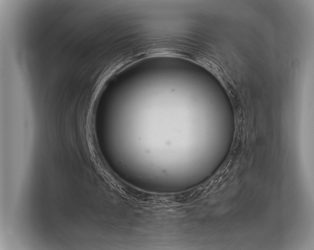 X0000113310289200909211147