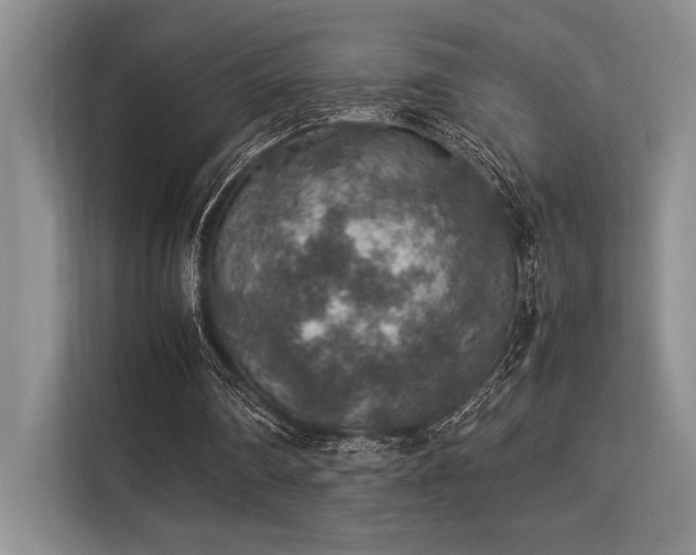 X0000113310290200909211147