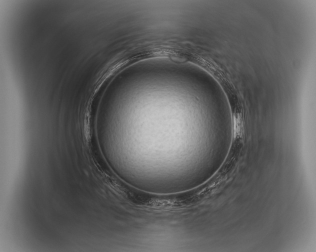 X0000113310291200909211147