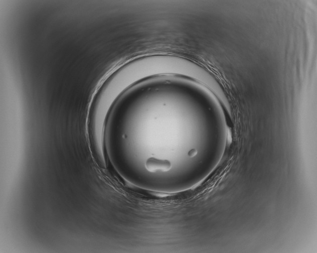 X0000113310292200909211147