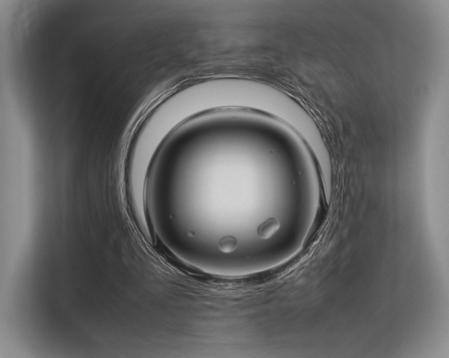 X0000113310293200909211147