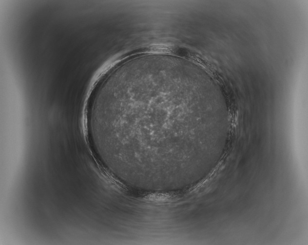 X0000113310294200909211147