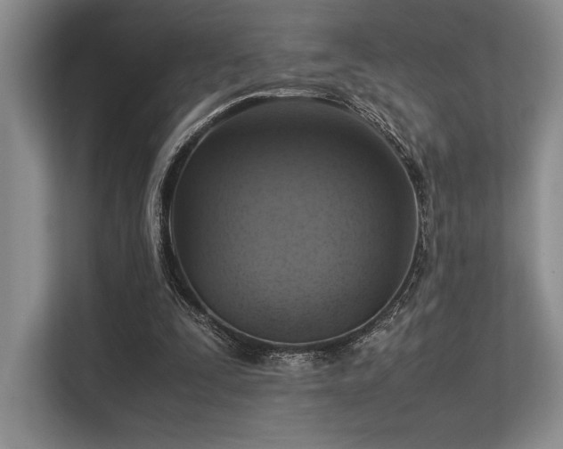 X0000113310295200909211147