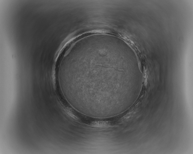 X0000113310296200909211147