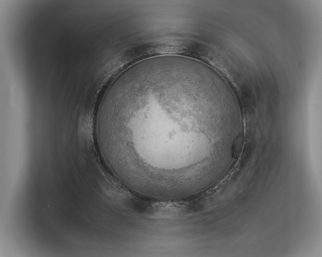 X0000113310297200909211147