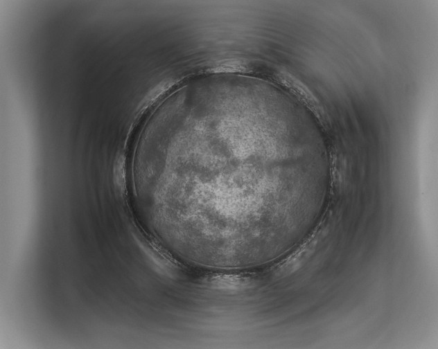 X0000113310298200909211147