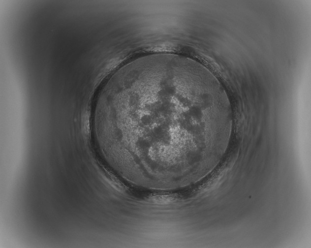 X0000113310299200909211147