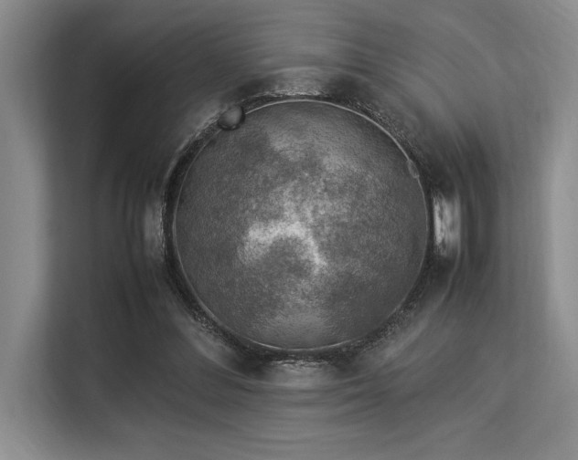 X0000113310300200909211147