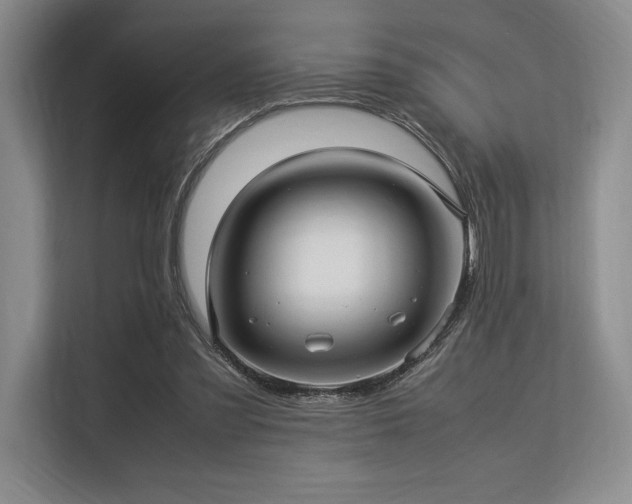 X0000113310301200909211147