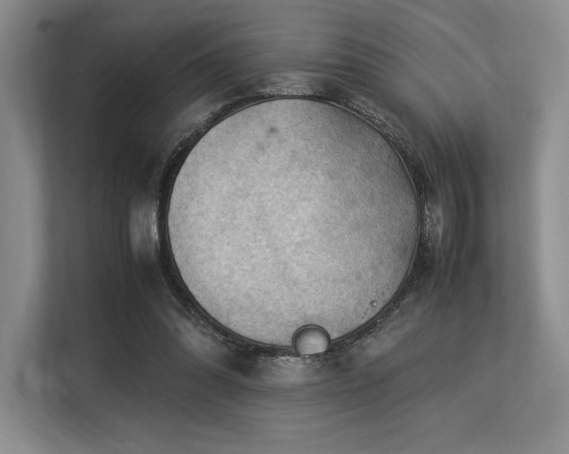 X0000113310302200909211147