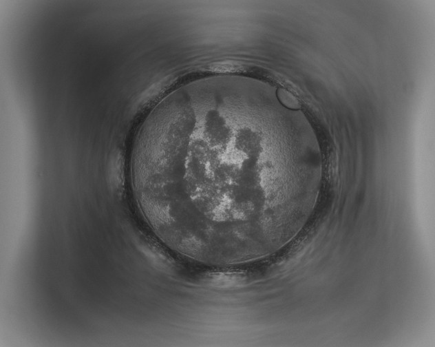 X0000113310303200909211147