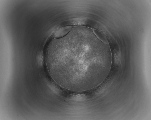 X0000113310304200909211147