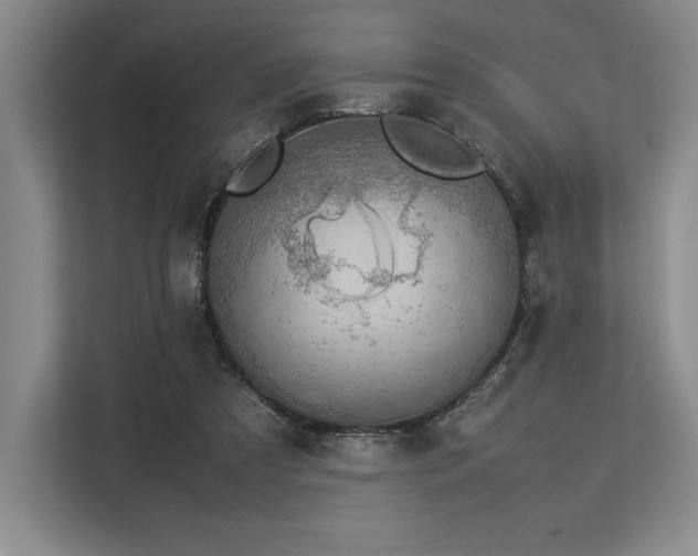 X0000113310305200909211147