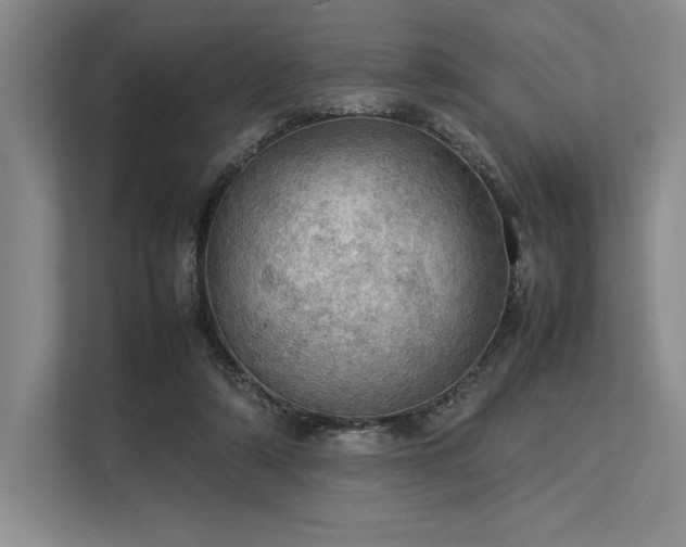 X0000113310306200909211147