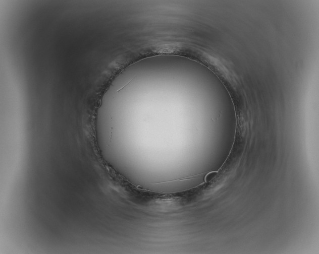 X0000113310307200909211147