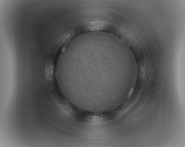 X0000113310308200909211147