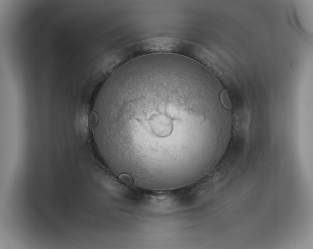 X0000113310309200909211147