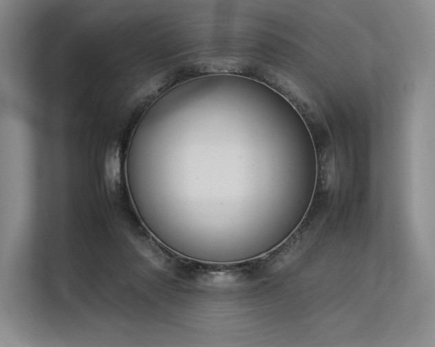 X0000113310310200909211147