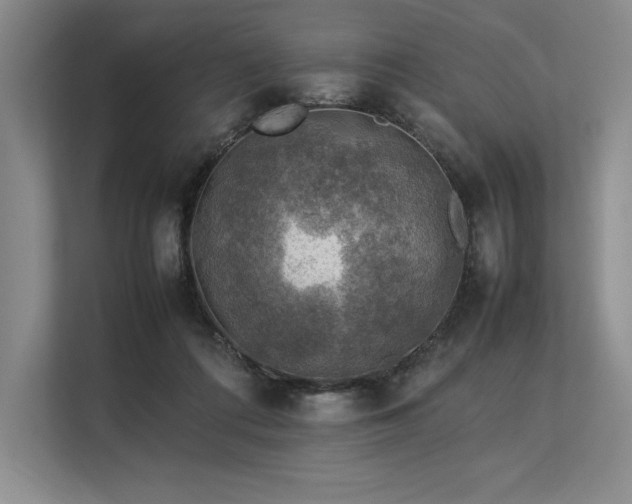 X0000113310312200909211147