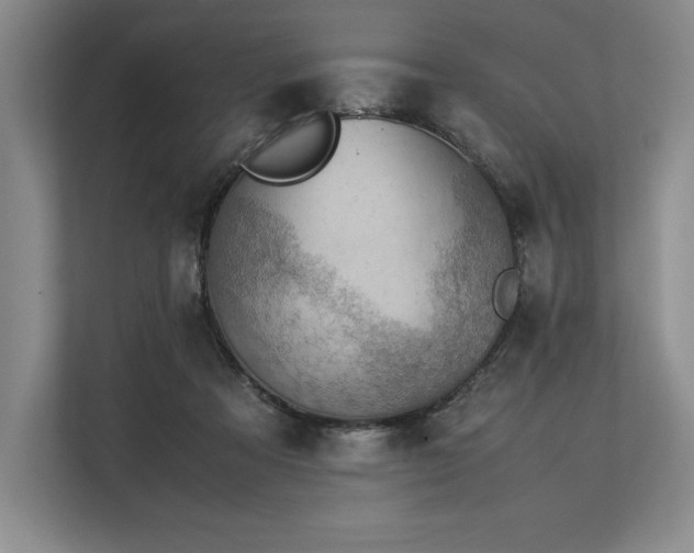 X0000113310313200909211147