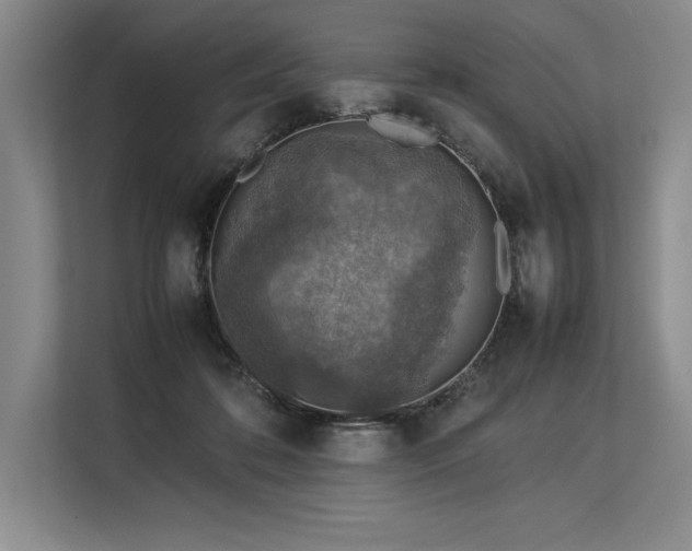 X0000113310316200909211147