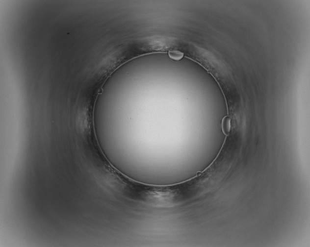 X0000113310317200909211147