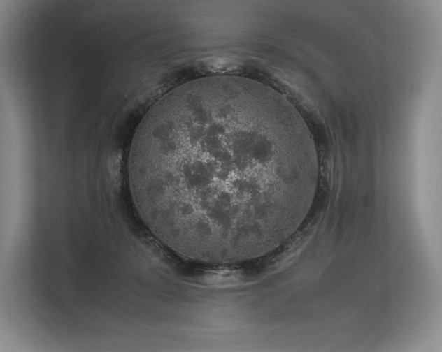 X0000113310319200909211147