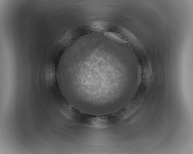 X0000113310320200909211147