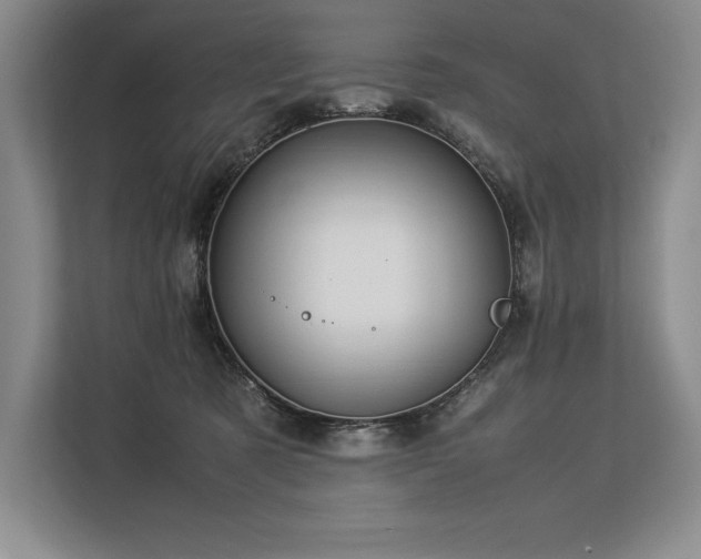 X0000113310321200909211147