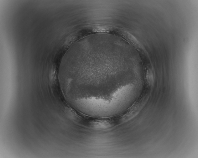 X0000113310322200909211147