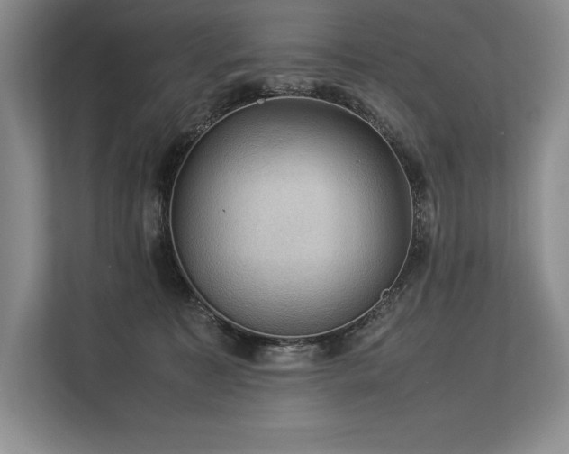 X0000113310323200909211147