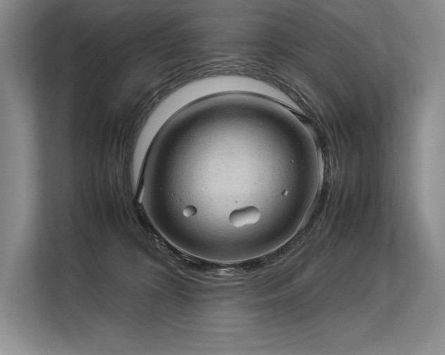 X0000113310324200909211147