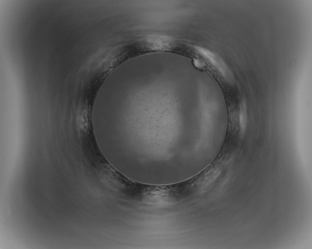 X0000113310325200909211147