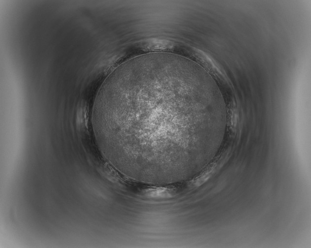 X0000113310326200909211147