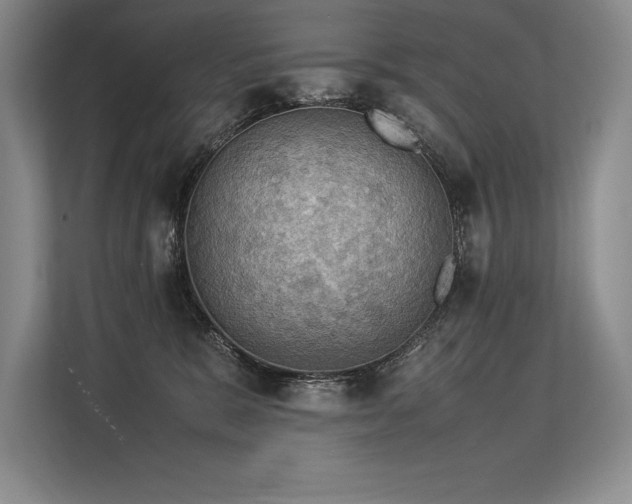 X0000113310327200909211147