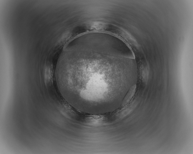 X0000113310328200909211147