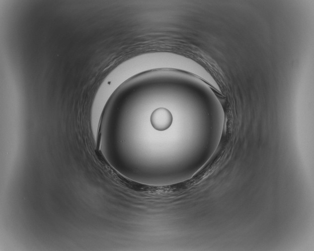 X0000113310329200909211147