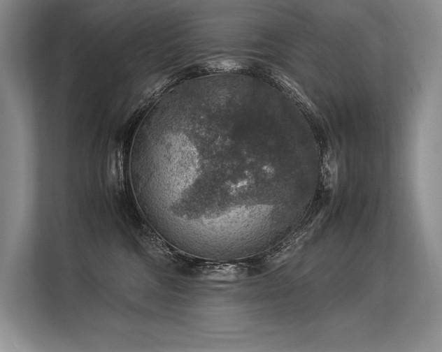 X0000113310330200909211147