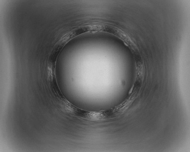 X0000113310333200909211147