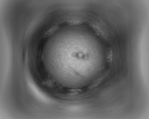 X0000113310334200909211147