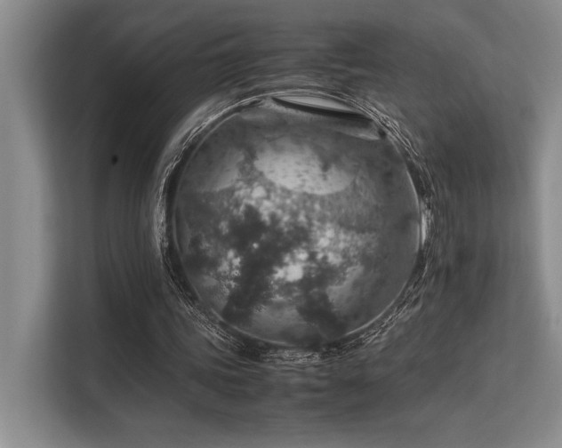 X0000113310339200909211146