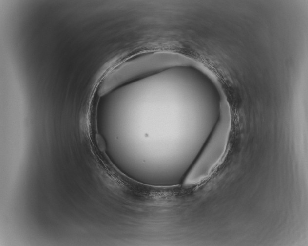 X0000113310340200909211146