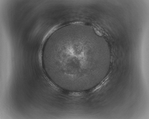 X0000113310341200909211146