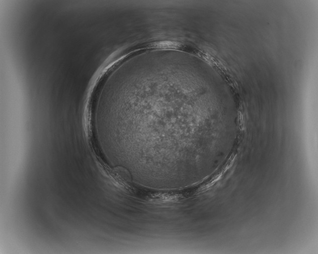 X0000113310343200909211146