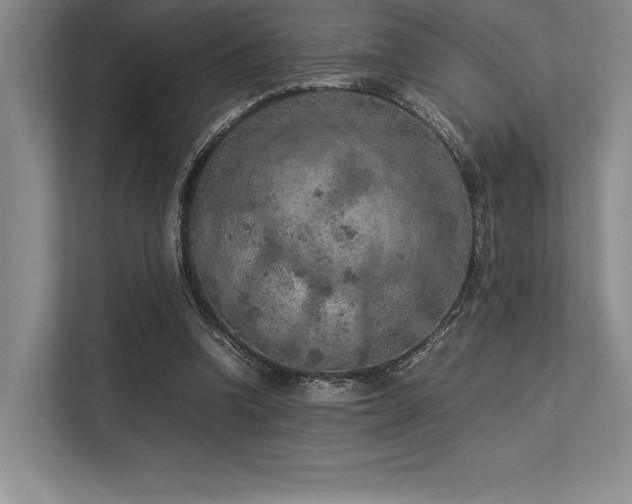 X0000113310346200909211146