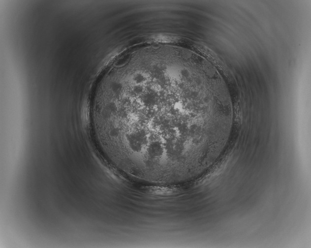 X0000113310347200909211146