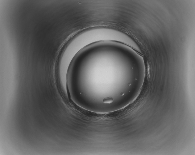 X0000113310348200909211146